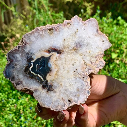 Losa de ágata flor negra natural 249G rebanada gruesa cristal nivel museo/marroquí - Imagen 9 de 14