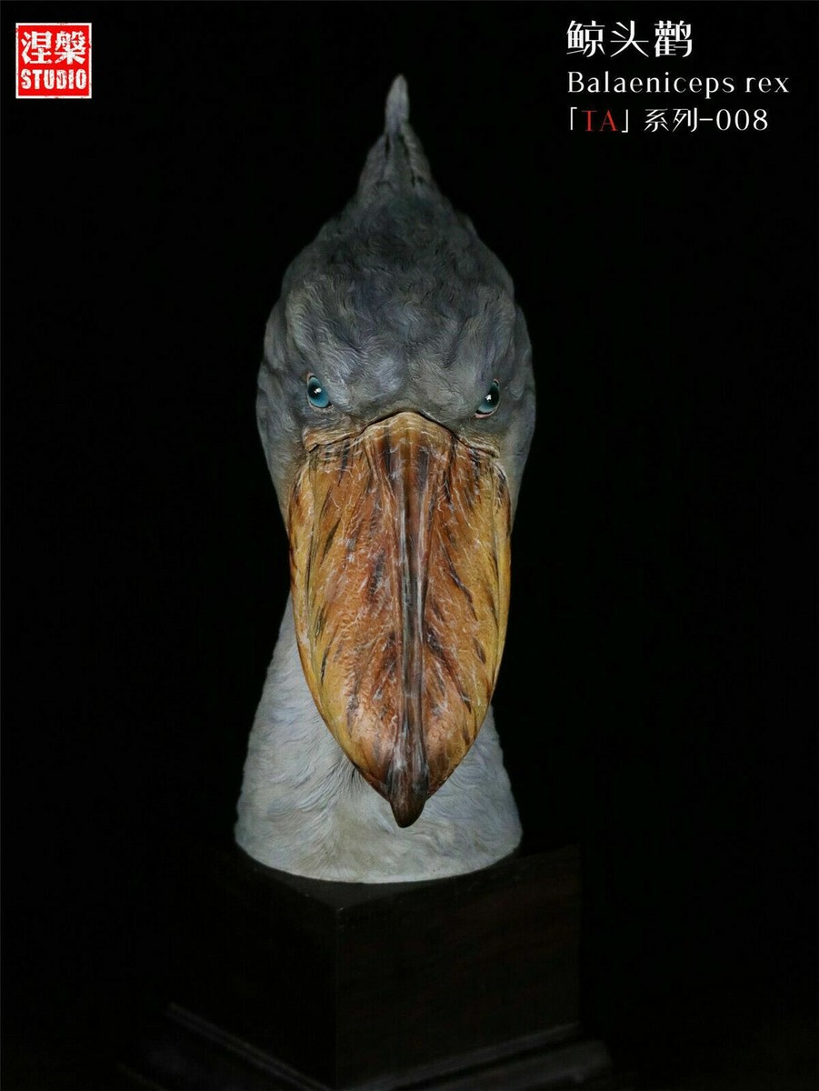 Planet whalehead shoebilled stork Shoebill Bird Mini Figure