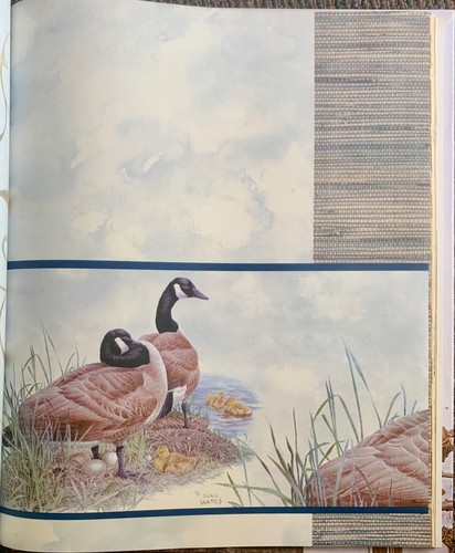 Glen Loates A Brush With Nature Wallpaper Samples Large Format Book 2003. - Foto 8 di 8