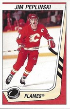 1989-90 Panini Stickers #37 Jim Peplinski - HKY