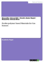 Muzzaffar Ahmad Mir (U. A.) | Zeolite-Polymer Based Materials For Gas Sensors