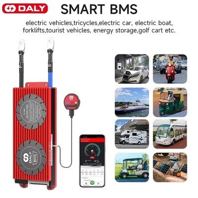 Daly BMS 8S 24V 100A LiFePo4 Akku Pack Smart BMS with Balance +Bluetooth Module