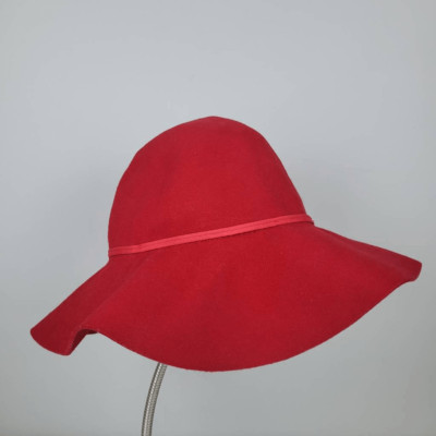s-l400.jpg display picture 1
