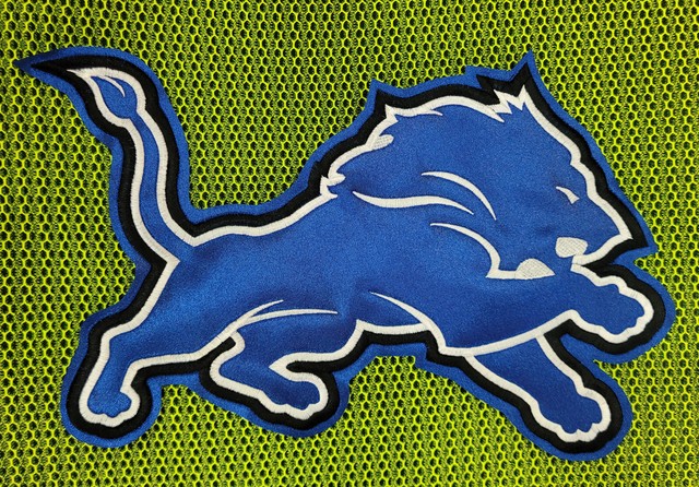 Detroit Lions Huge High Quality Embroidered Patch 11.6"x8"