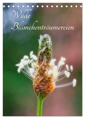 Wilde Blümchenträumereien (Tischkalender 2025 DIN A5 hoch), CALVENDO Monatskalen