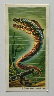 1984 Quaker Oats Monsters of the Deep #1 Moray Eel Trade Card CC20