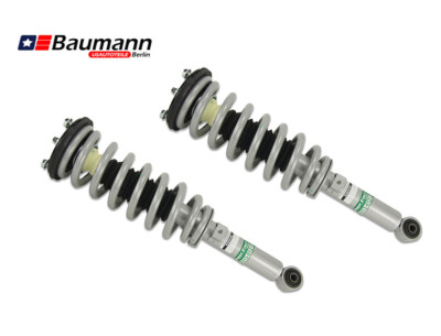 2 x STOßDÄMPFER VORNE Li.+Re DOMLAGER FEDERBEIN MC PERSON FORD MUSTANG 05-09