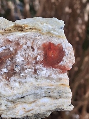 Agatized Marble Thick Slab Red Chalcedony Core Lapidary Or Display Unique