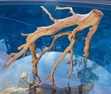 Large Driftwood Manzanita Aquascape Aquarium Terariam 26" 26" 17"