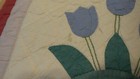 Bild 8 von 12