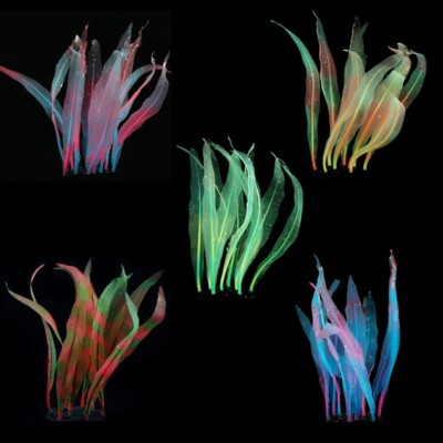 Simulation Kelp Colored Polyresin Sea Plant for Aquarium Fish for Decoratio