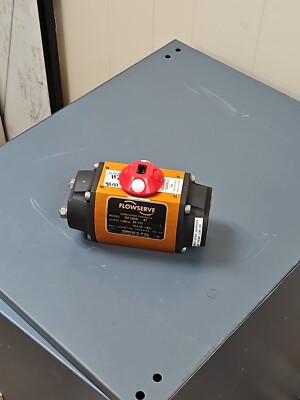 Flow Server Pneumatic Actuator F39 10F39SN