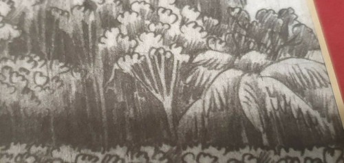 Dibujo al carbón de Notre-Dame - Sin firmar - Enmarcado y esmaltado - Imagen 4 de 11