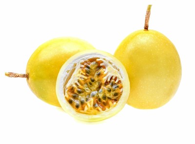 markisa bacaterus plump lezat bergizi enak produksi