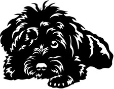 BOLONKA ZWETNA Aufkleber - Autoaufkleber - sticker - Kontur #65