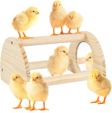 Pine Chicken Perch with Mirror, Strong Chick Jungle Gym Roosting Bar, Chicken To