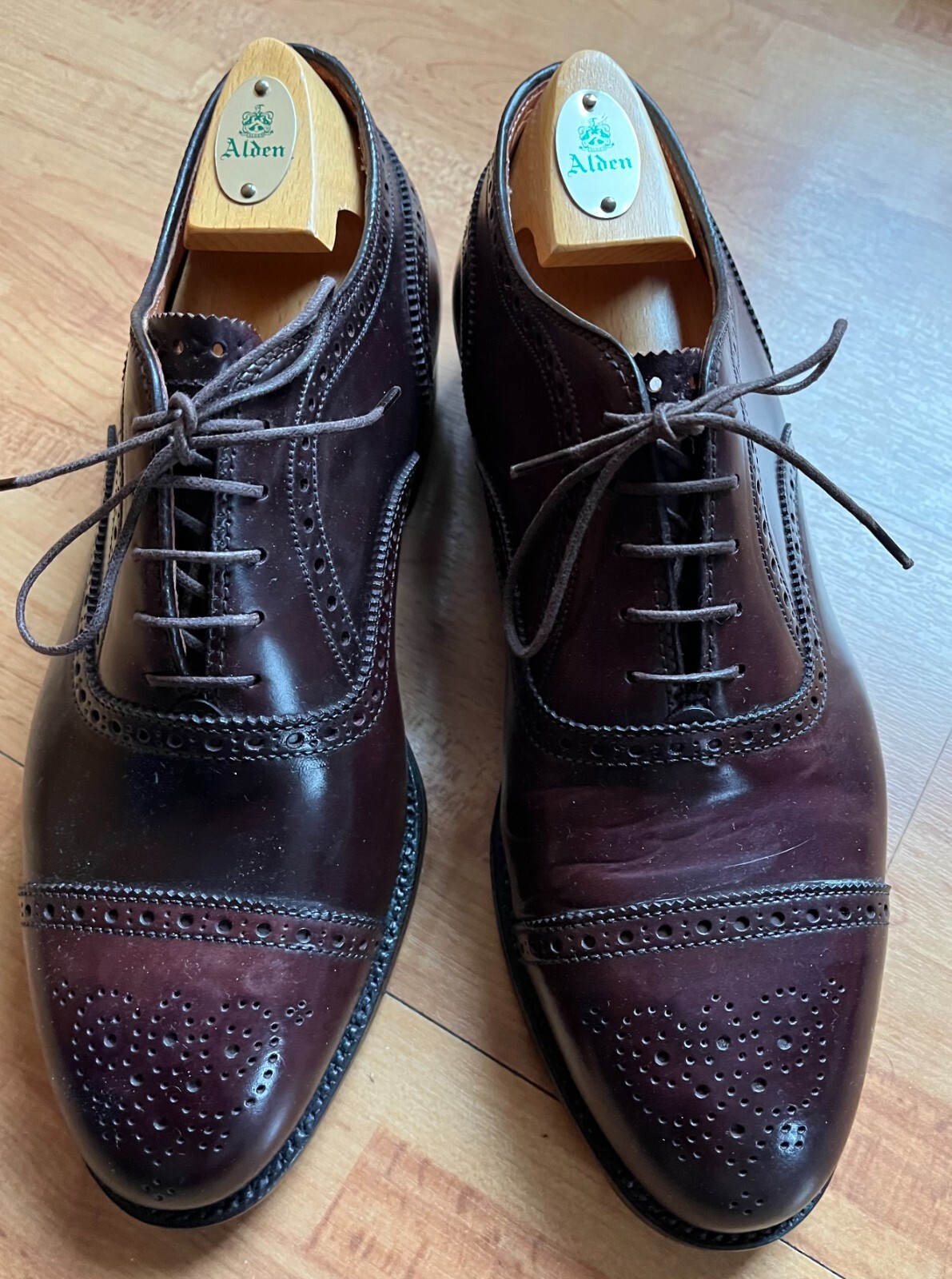 Alden 5195 Color 8 Shell Cordovan Medallion Tip Blucher