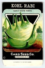 Vienna Kohl Rabi 1920's Card Seed Co Packet EMPTY Vintage Fredonia New York NY