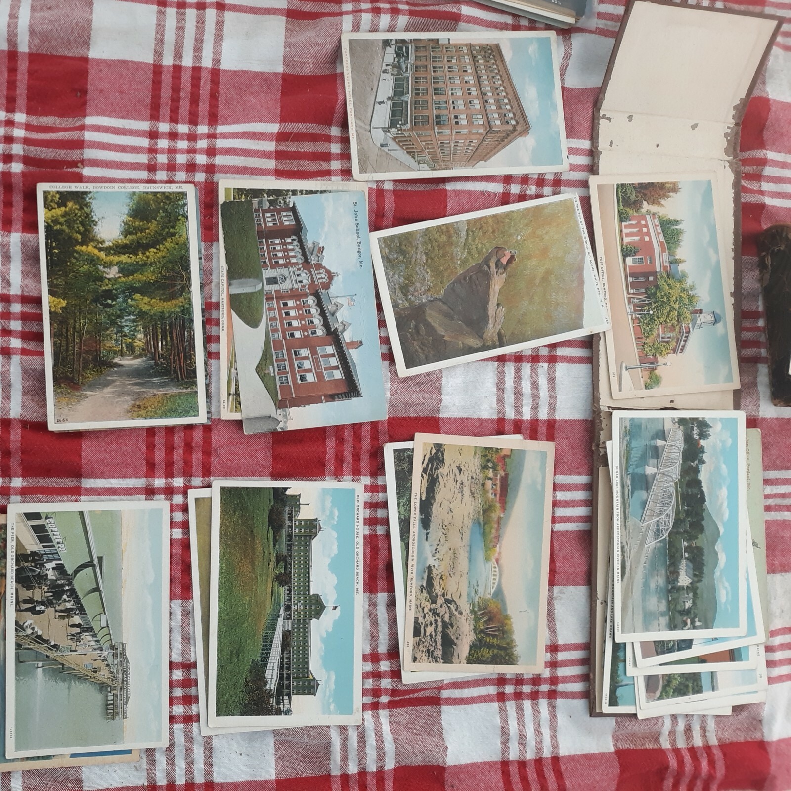 Picture 11 of 12