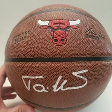 Chicago Bulls Tony Kukoc Signed Wilson Basketball- Schwartz Certified