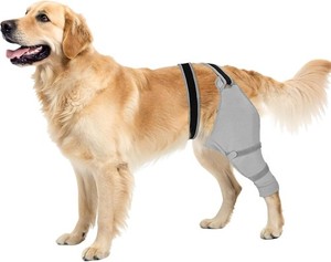 Joypig Dog Rear Leg Sleeve to Stop Licking LARGE LEFT GREY NEW E434