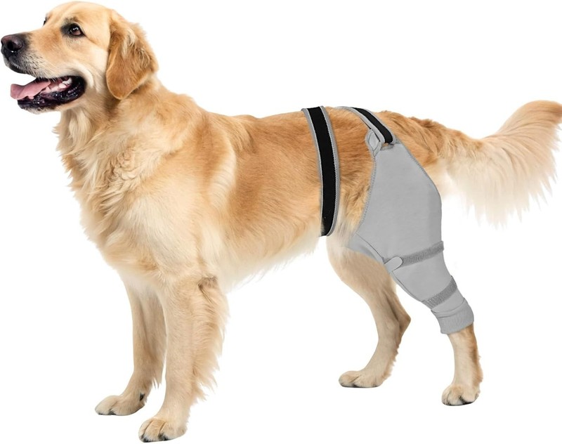 Joypig Dog Rear Leg Sleeve to Stop Licking LARGE LEFT GREY NEW E434