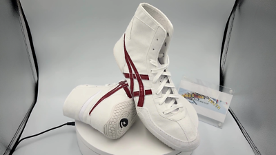 Asics Wrestling Shoes 1083A001 EX-EO special order white x