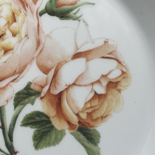 Portmeirion Botanic Roses Salad Plate Tamora Peach Floral NEW - Picture 5 of 8