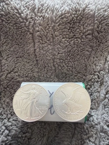 2022 american silver eagle coin type 2 Uncirculated In Government Tube 10 Coins