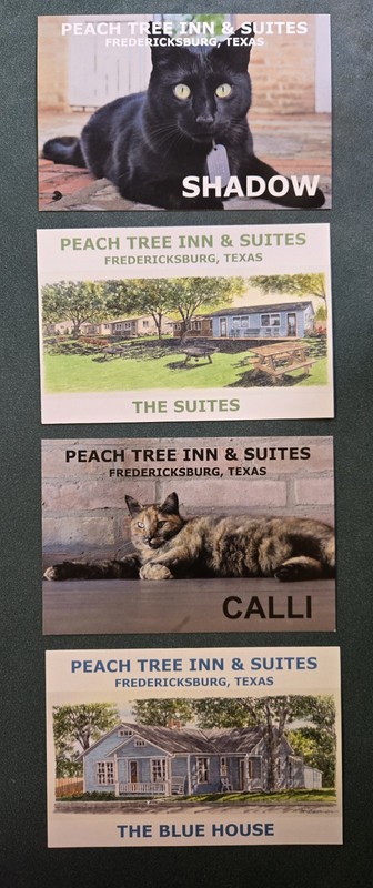 Peachtree Inn Fredericksburg Tx Collectible Postcards 4 Ea