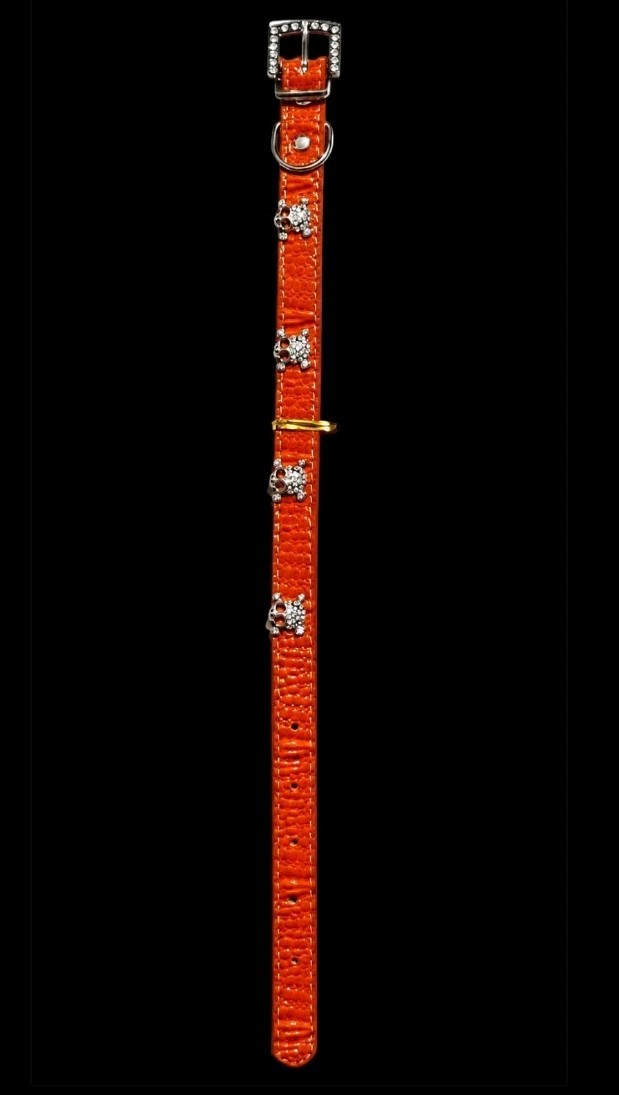 Bling Out Skull And Crossbone Dog Collar Size Medium, Color Orange