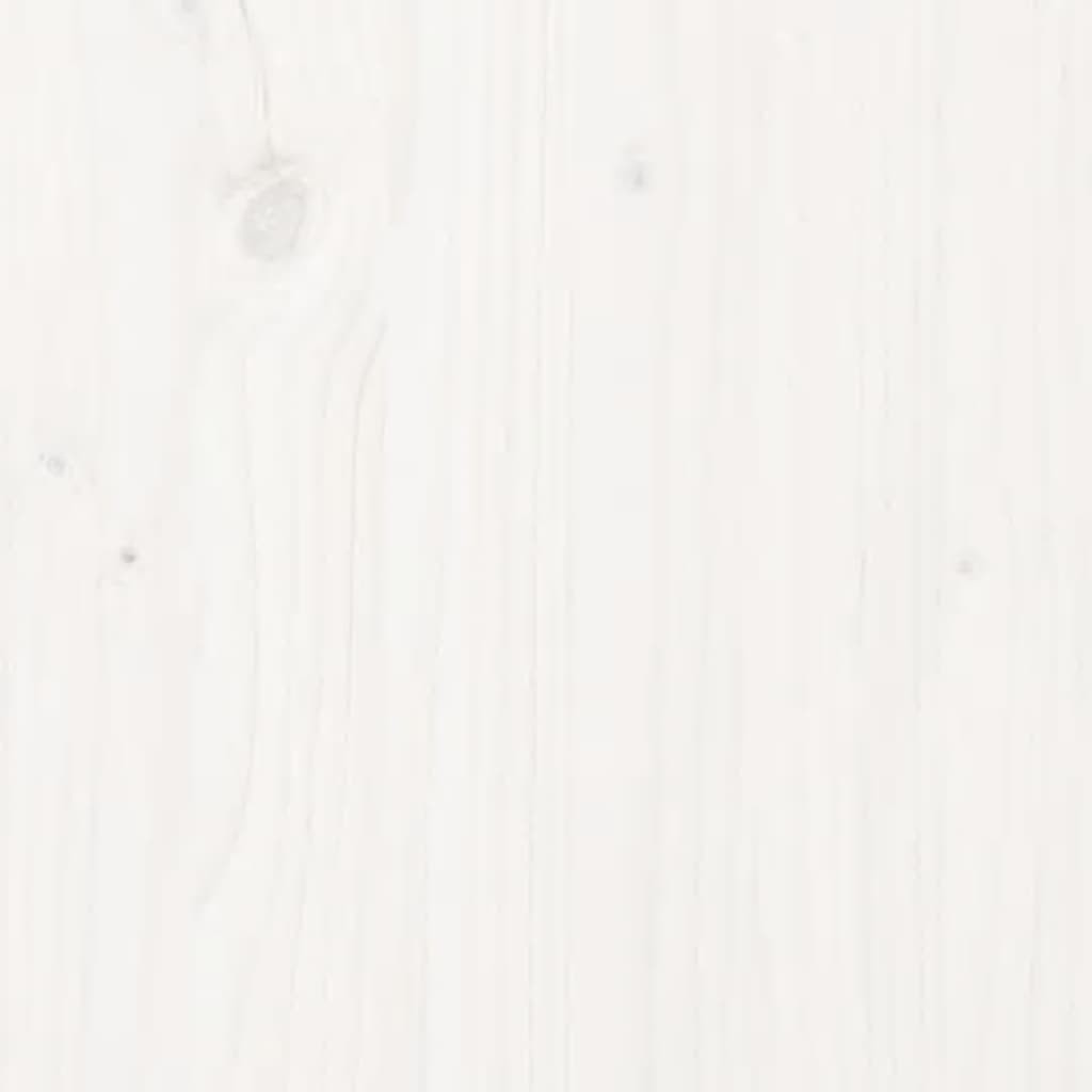 Bild 5 von 5
