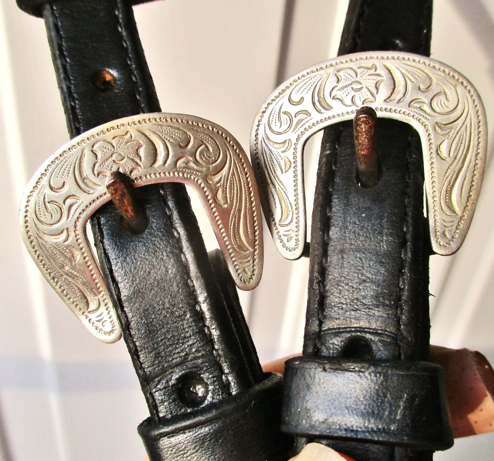 Silver Royal Classic Silver one Ear Show Headstall-Performance-Barrels-Training