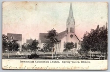 Spring Valley Illinois~Immaculate Conception Catholic Church Fenced~Homes~c1910
