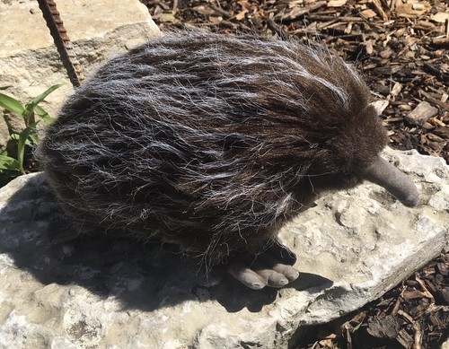 echidna plush