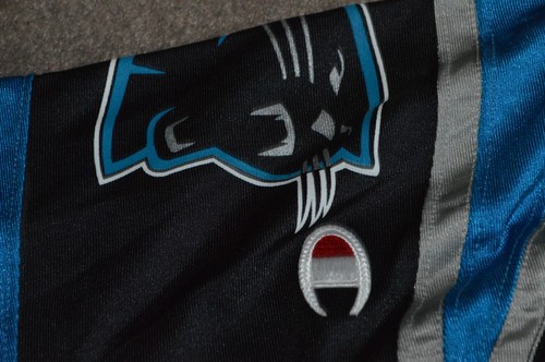 Carolina Panthers 1995 NFL Approved Prototype Authentic Pro Cut Champion Jersey - Picture 4 of 5