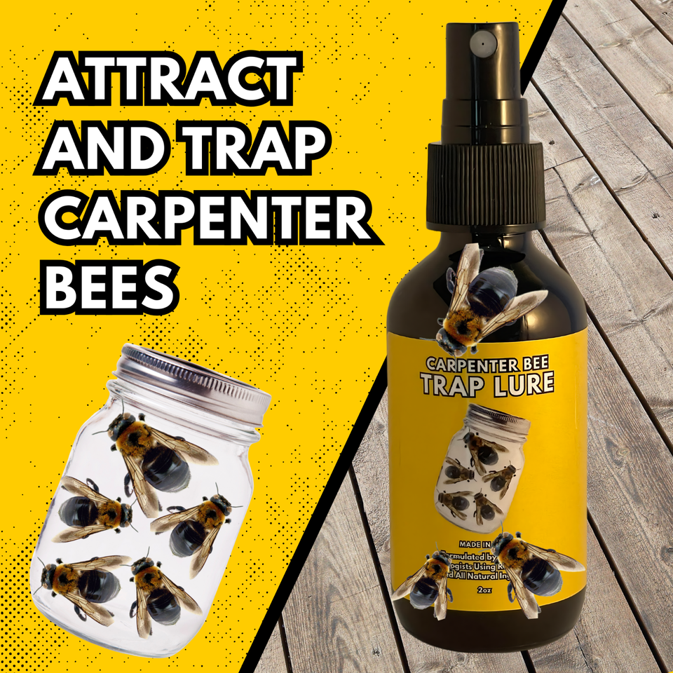 Carpenter Bee Trap Lure Pheromone Bait Attractant Scent for Wood Bee