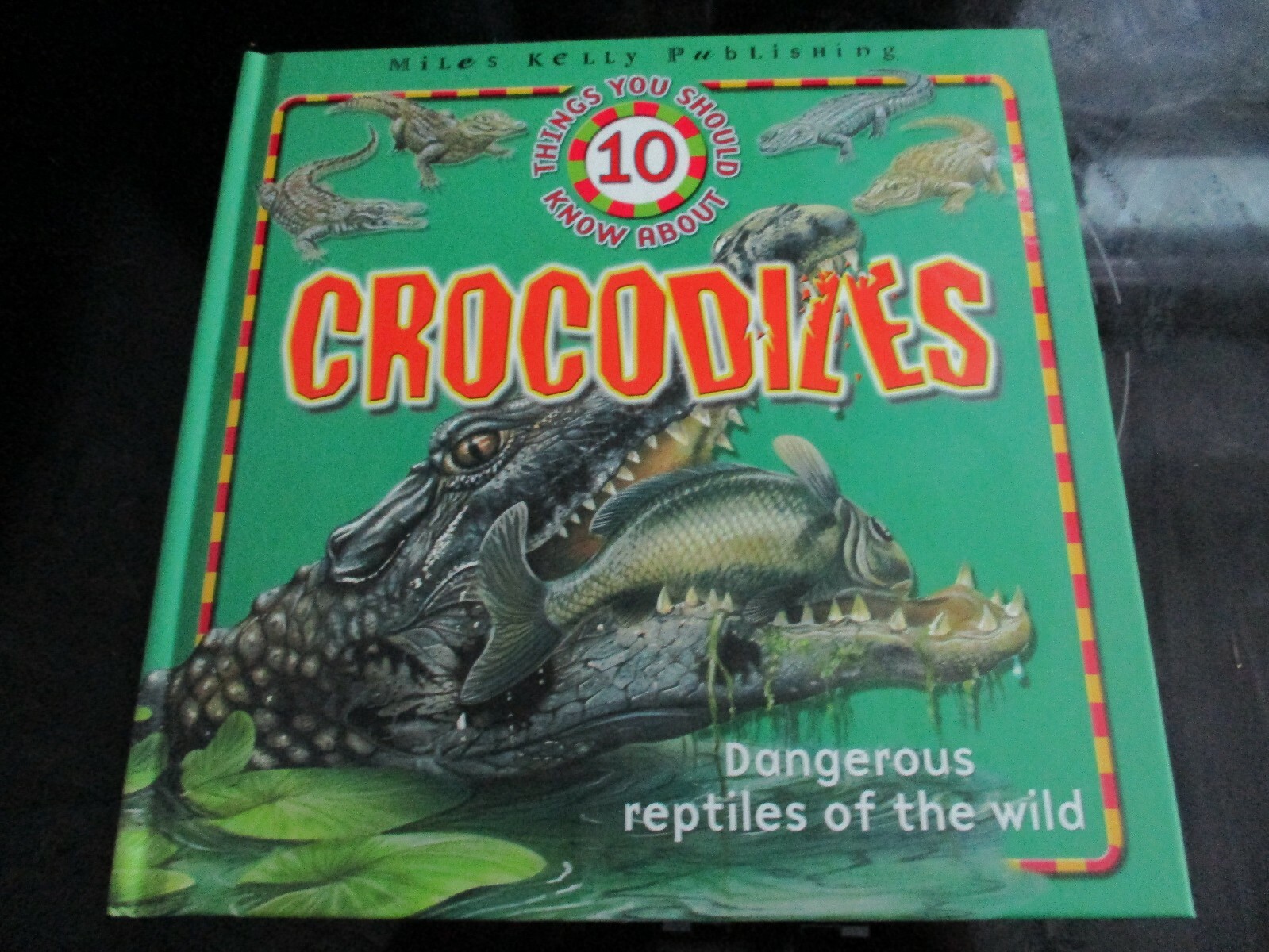 10 THINGS YOU SHOULD KNOW ABOUT CROCODILES BOOK STEVE PARKER BRAND NEW
