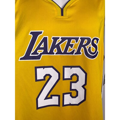 LeBron James #23 Los Angeles Lakers Fanatics Fast Break Gold