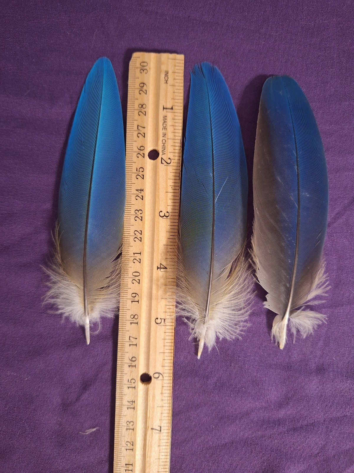 Picture 1 of 2