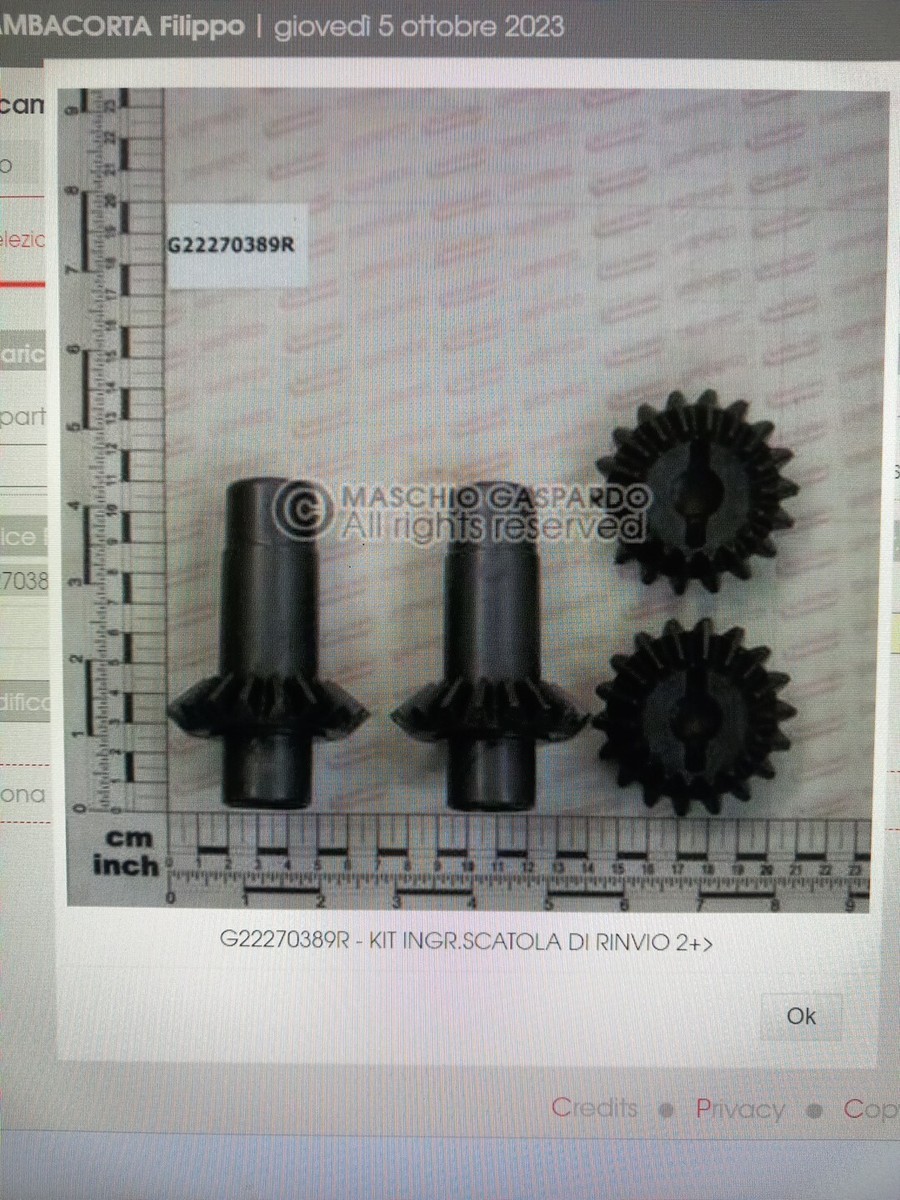 SEMINATRICE PNEUMATICA MONOGERME GASPARDO MONICA 6 FILE BB INOX - Quasi Usato