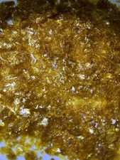 Dewaxed Blonde Shellac Flakes 1/ 2lb (8) Oz.                   Old World Shellac