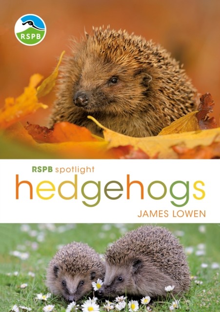 RSPB Spotlight Hedgehogs by James Lowen (Paperback Book)