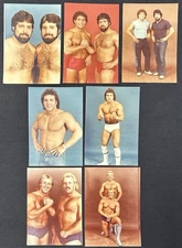 Lot Of 7 Original 1980s 3.5x5 Memphis Wrestling Gimmick Table Photos CWA