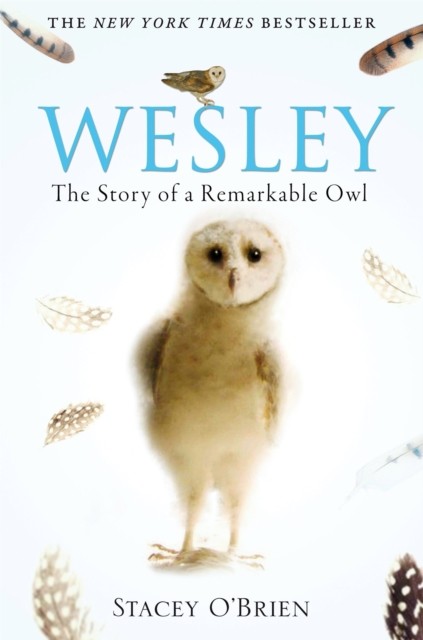 Wesley : The Story Of A Remarkable Owl Stacey O'brien - Image 5