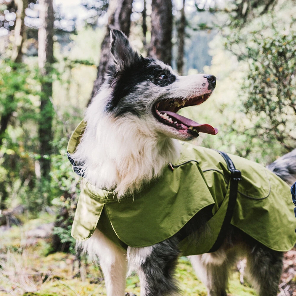 Dog warmer outdoor cheap