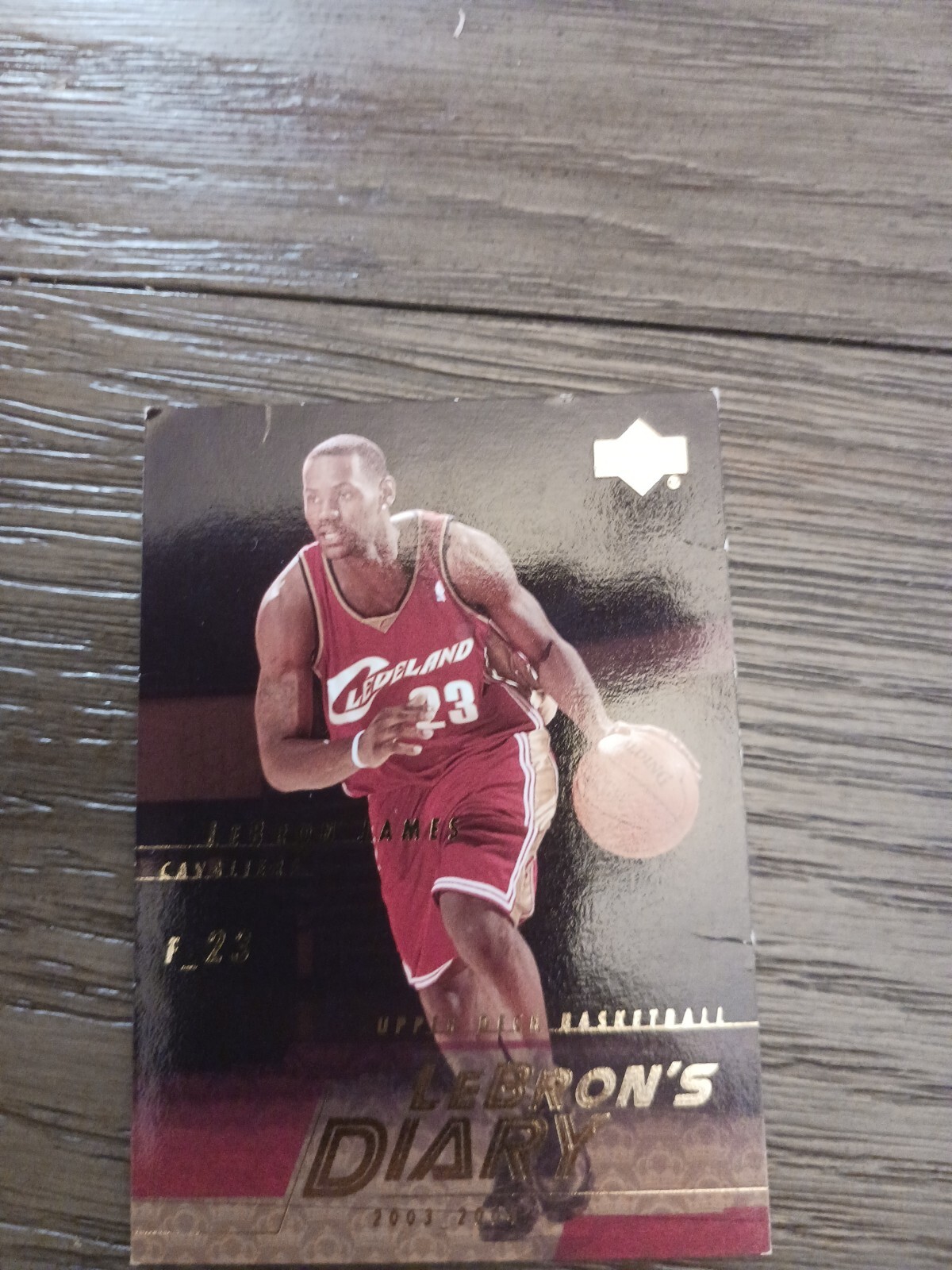 2003 UPPER DECK LEBRON JAMES LEBRONS DIARY #LJ14