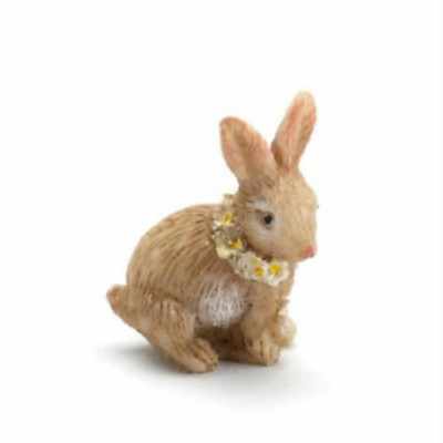 micro rabbit