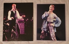 DAVID BOWIE (1) on Gatorboard. Original Color Concert Photos by Mike Petrello