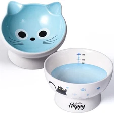 AISBUGUR Ceramic Cat Bowls Set of 2, Elevated 15 Tilted Design for ... Fast Ship